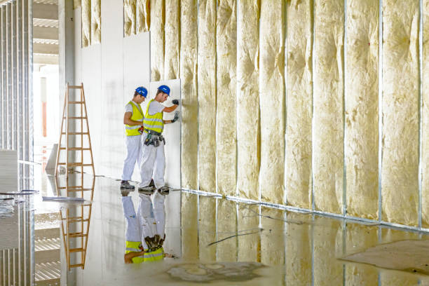 Best Types of Insulation in Simonton Lake, IN